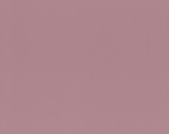 [200111122_80] Taralay Impression Compact - 1086 Uni Matt Poudre